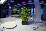 Vogue cafe микрорайон зеленый лог 2а фото Зеленый лог 2а