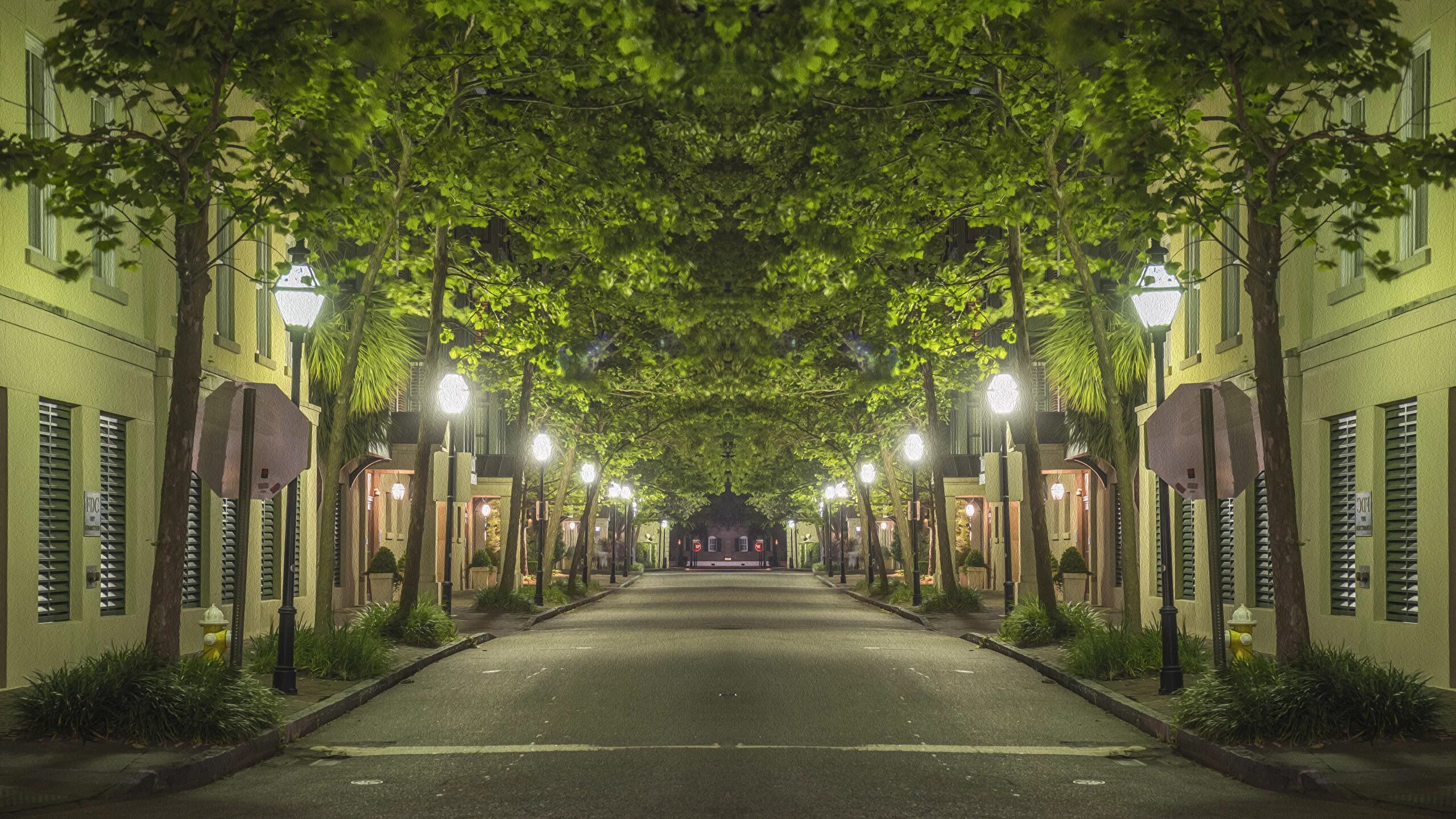 Wattson городская ул 48 фото Фотография штаты Charleston Аллея улиц Ночные Уличные 2560x1440