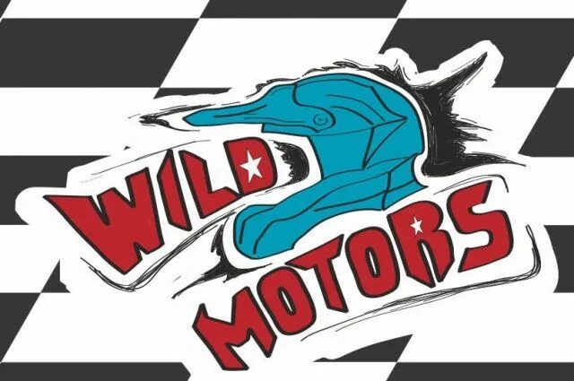 Wild motors московский просп 112б ярославль фото В Ярославле пройдут соревнования по мотокроссу АиФ Ярославль