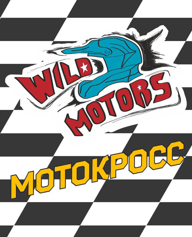 Wild motors московский просп 112б ярославль фото Трасса для мотокросса, мотодром, Ярославль, Красноперекопский район - Яндекс Кар