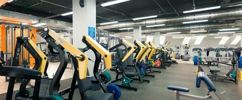 Win fitness дачная ул 11а фото Alex fittness, фитнес-клуб, Дачная ул., 11А, Красногорск, Россия - Яндекс.Карты