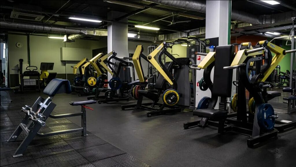 Win fitness дачная ул 11а фото Alex Fitness, fitness club, Krasnogorsk, Dachnaya ulitsa, 11А - Yandex Maps