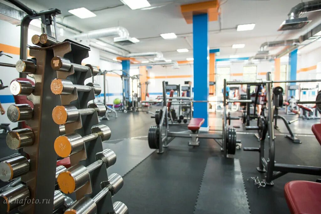 Win fitness дачная ул 11а красногорск фото Joy Фитнес, фитнес-клуб, ул. Народного Ополчения, 1А, Красногорск, Россия - Янде