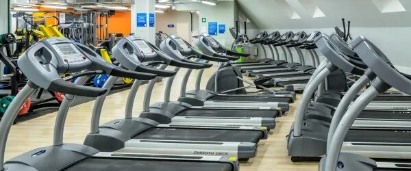Win fitness дачная ул 11а красногорск фото Alex Fitness - Парк Красногорск, Московская область, Красногорск, улица Дачная, 