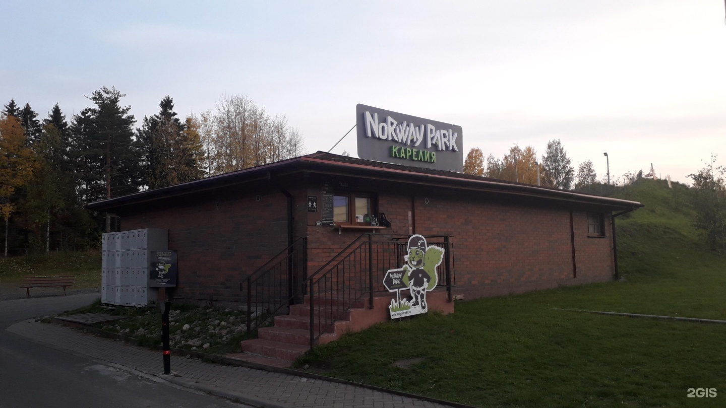 Wine great лесной просп 47а фото Волки Лесного парка в Тосно на фото Другие животные nadezhda-karelia.ru