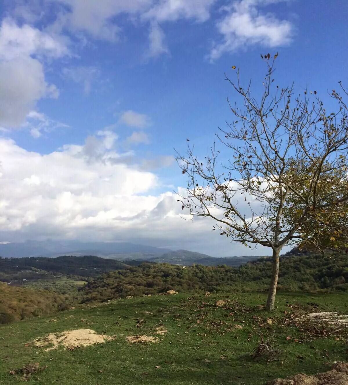 Winejetabkhazia гудаутский район село калдахуара фото Куланырхуа - nuvba - LiveJournal