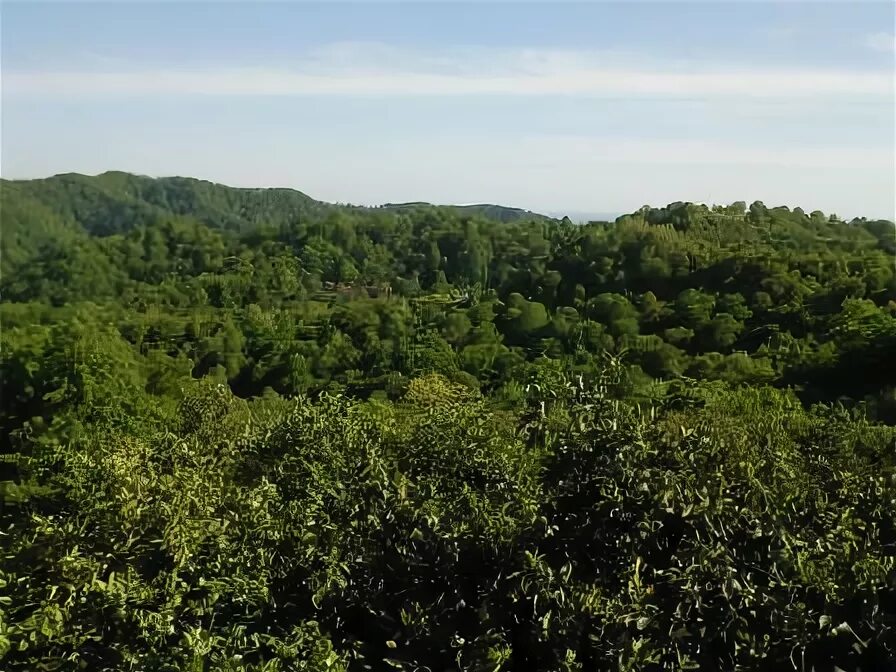 Winejetabkhazia гудаутский район село калдахуара фото Гостевой дом Монашеское ущелье - Лдзаа (Лидзава), Монашеское ущелье - официальны
