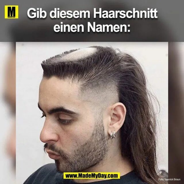 Wolf cut стрижка мужская Made My Day Lustig, Lustige bilder, Humor bilder