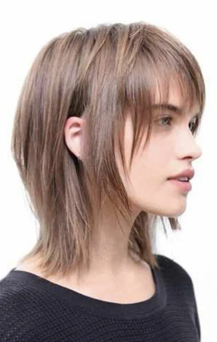 Wolf cut стрижка женская короткая Pin on Lovely hair Edgy hair, Medium hair styles, Hairstyles for thin hair