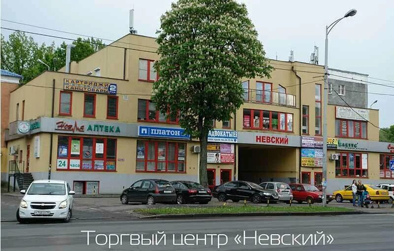 Wonderland ул александра невского 55б фото Тип-Топ, наружная реклама, ул. Александра Невского, 36В, Калининград - Яндекс Ка