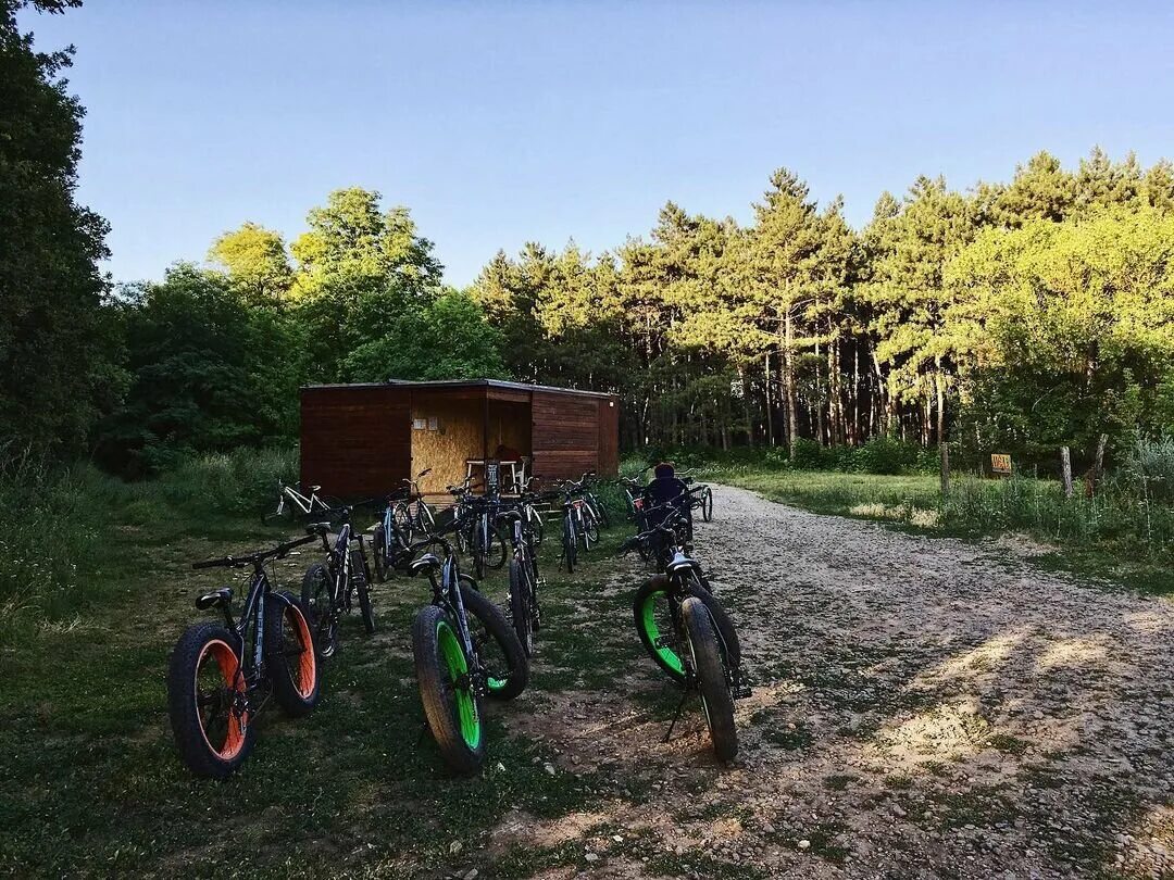 Woodprokat лесная ул 1 поселок темерницкий фото Цены "WoodProkat" в Ростовской области - Яндекс.Карты