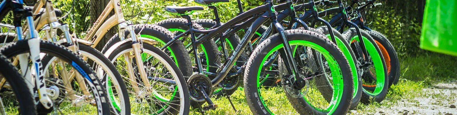 Woodprokat лесная ул 1 поселок темерницкий фото WoodProkat Прокат в Щепкинском лесу WoodProkat Прокат в Щепкинском лесу WoodProk
