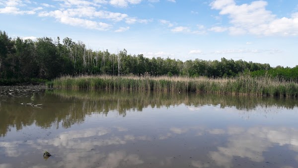 Woodprokat лесная ул 1 поселок темерницкий фото WoodProkat, + 7 999 699-16-22, ул. Лесная, Темерницкий, Ростовская обл., Россия,