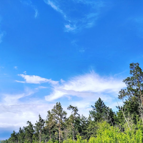 Woodprokat лесная ул 1 поселок темерницкий фото WoodProkat, + 7 999 699-16-22, ул. Лесная, Темерницкий, Ростовская обл., Rusko, 
