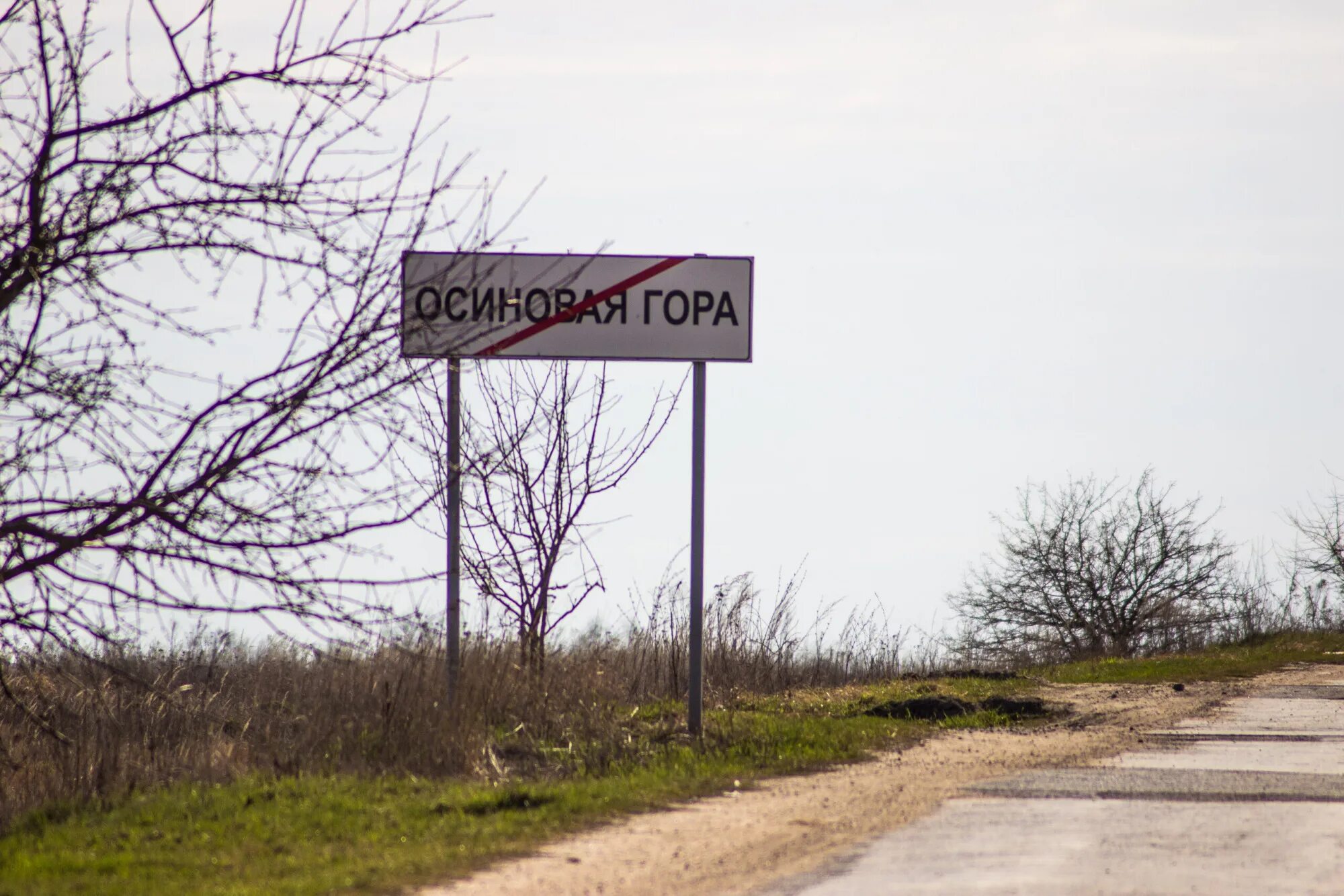 Woods село осиновая гора с3 фото В Туле спасатели тушили ландшафтный пожар на Осиновой горе. Фоторепортаж Тульска