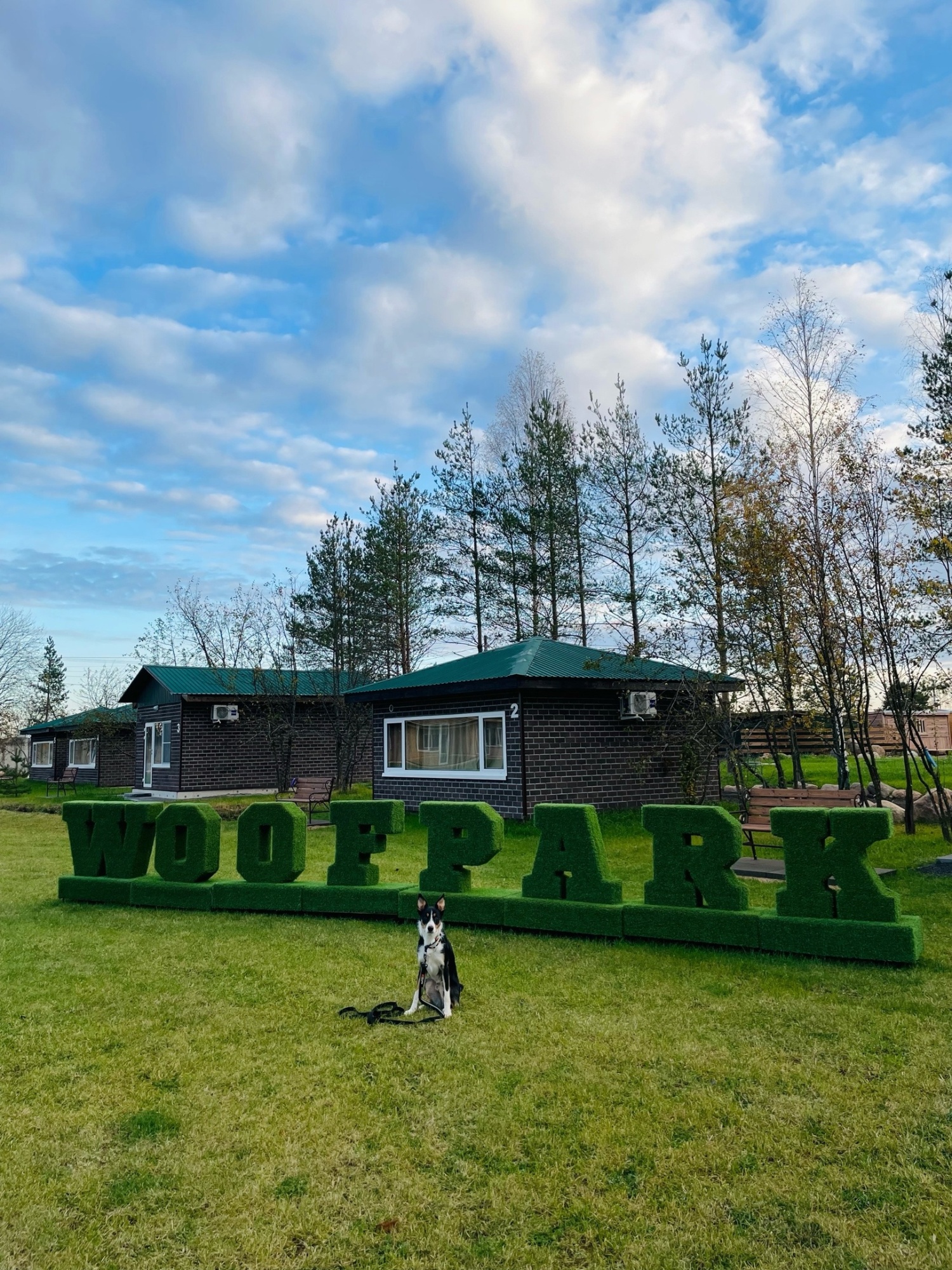 Woofpark костромская ул 15а село туношна фото Проживание с собакой в WoofPark Гостиница dog-friendly Туношна, Ярославль