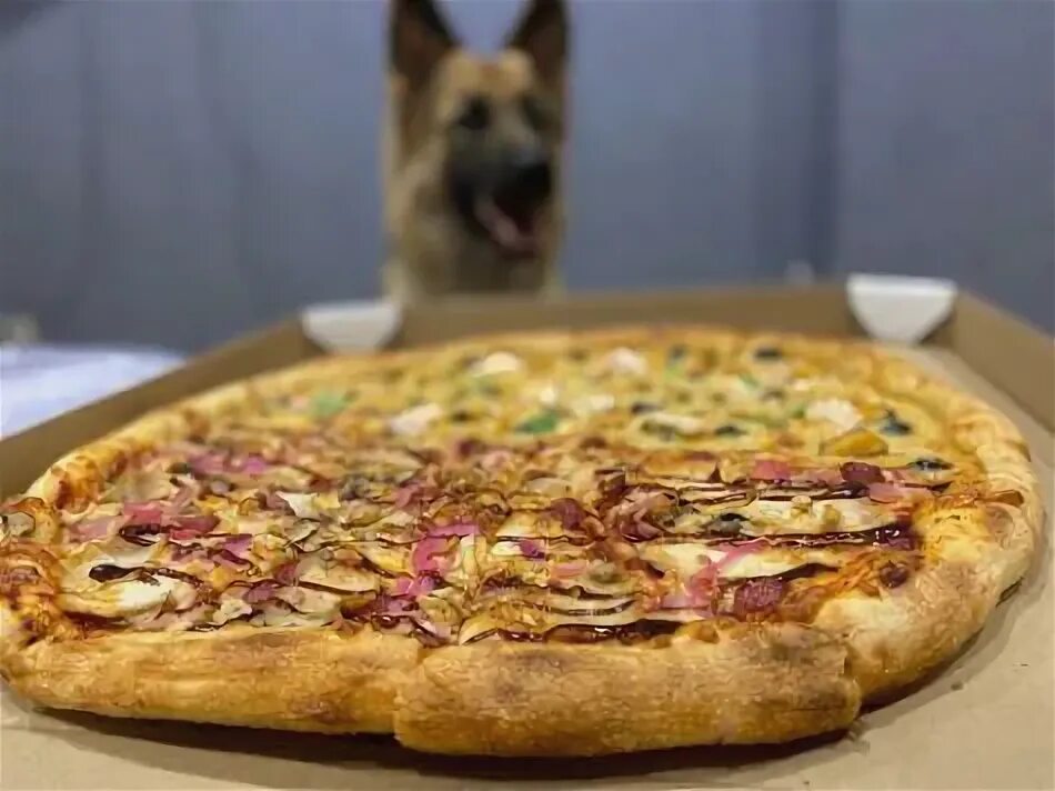 Xpizza спортивная ул 3 поселок мичуринский фото Пиццерия Xpizza: Брянск, поселок Мичуринский, Спортивная улица, 3