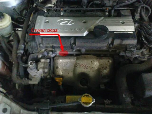 Акцент номер двигателя фото Hyundai Accent Club Русская версия Invision Power Board