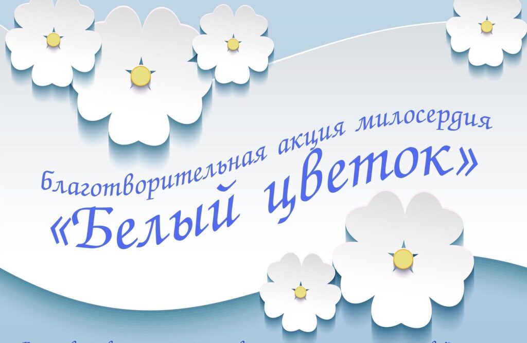 Акция белый цветок фото цветов Благотворительный праздник "Белый цветок"