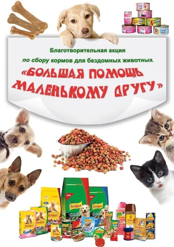 Акция фото с домашним животным Со 2 по 25 октября в МАОУ СОШ 22 проходит благотворительная акция по сбору кормо