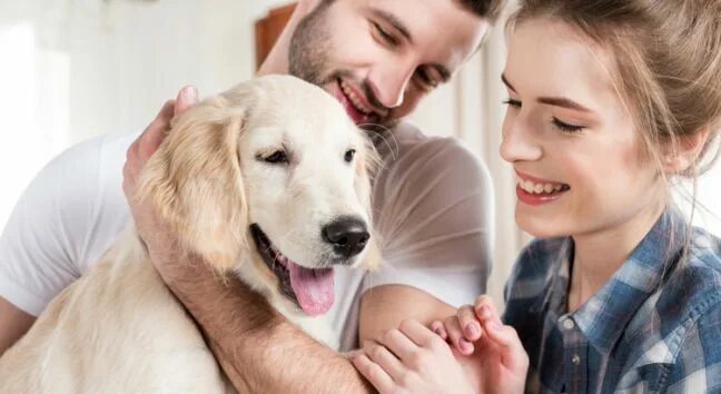 Акция фото с домашним животным 5 steps to make your dog happy Dogs, Puppies, Dog owners