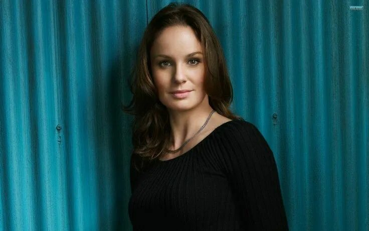 Актриса сара фото Sarah Wayne Callies - Actress ("The Walking Dead") Sarah wayne callies, The walk