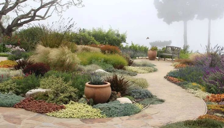 Актуальность ландшафтного дизайна 16+ Beautiful Planting Design For Dry Gardens Collection - Garden Water in 2020 