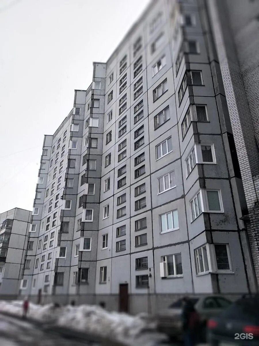 Акула ул 9 мая 55 фото 9 мая 55: найдено 87 картинок