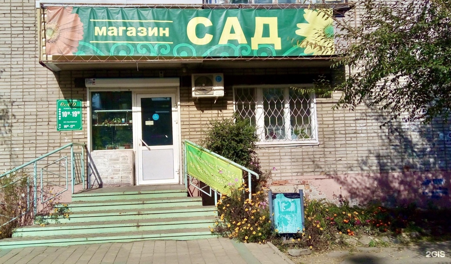 Акула ул 9 мая 55 фото Сад, магазин, проспект Победы, 55, Комсомольск-на-Амуре - 2ГИС