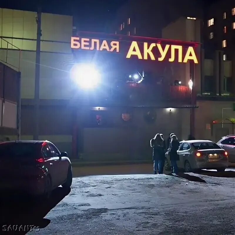 Акула волжский бул 44 фото Узнай сколько людей носят фамилию Белая-Акула