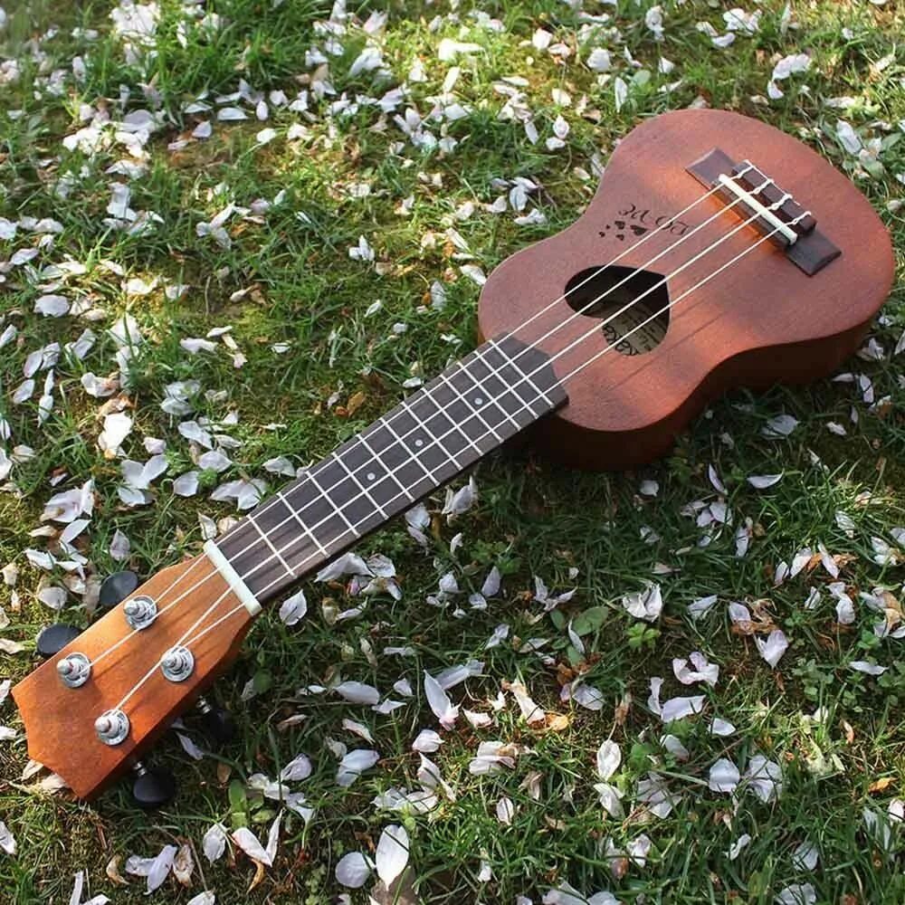 Акулель инструмент музыкальный фото New Professional 17" Sapele Ukulele Musical Instrument +Waterproof Gig Bag Craft