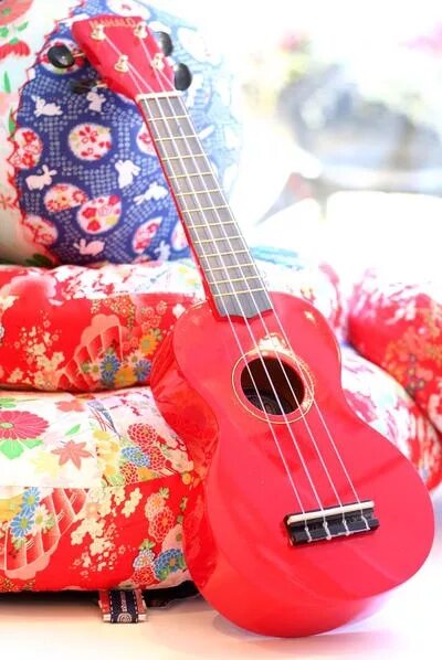 Акулель инструмент музыкальный цена фото ukulele Bass ukulele, Ukelele, Cool ukulele