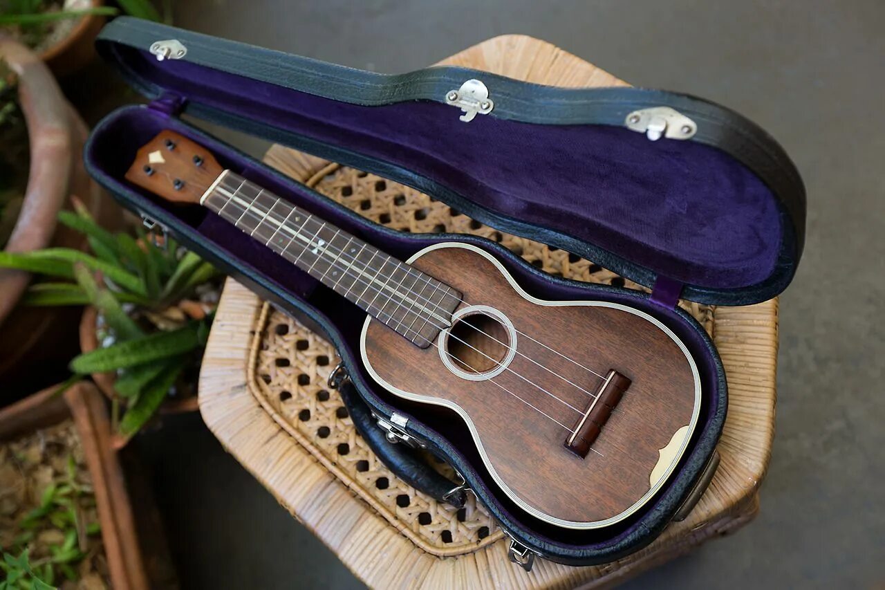 Акулель инструмент музыкальный цена фото Pin on Ukulele
