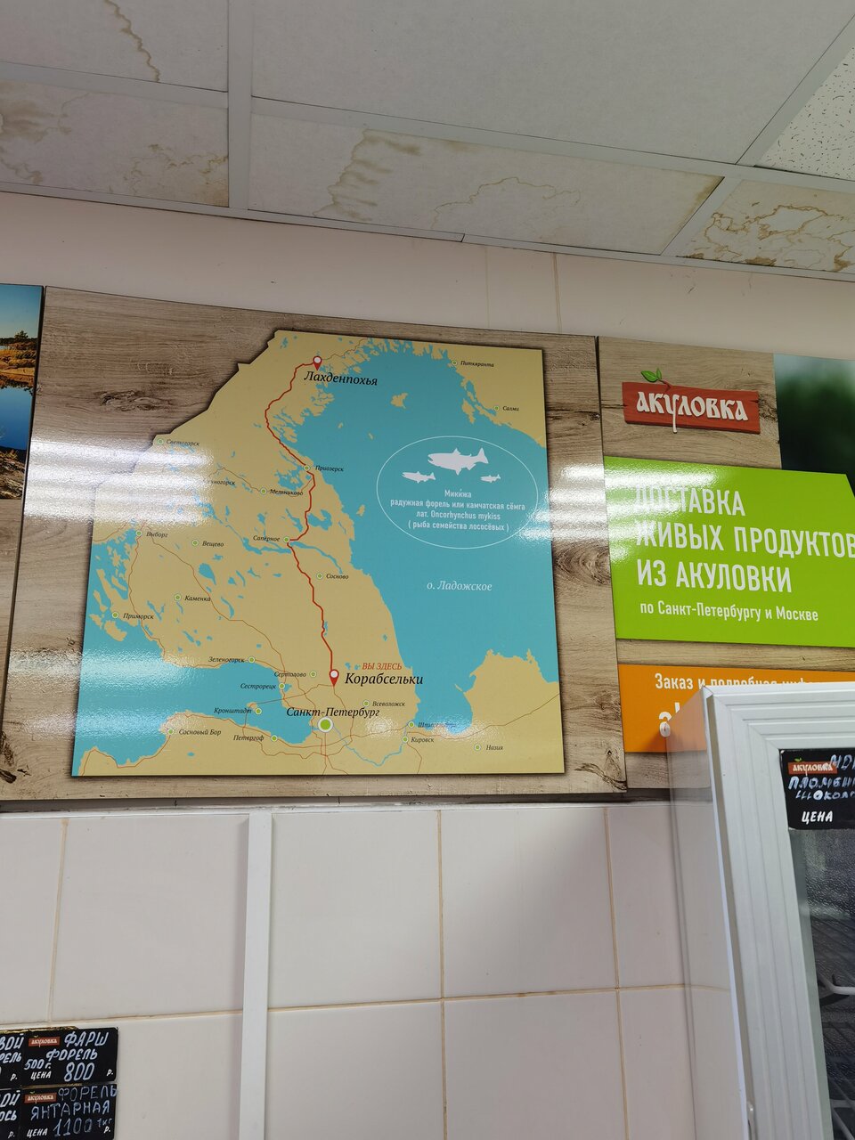 Акуловка центральная ул 40 д корабсельки фото Фото: Акуловка, балық және теңіз өнімдері, деревня Корабсельки, Центральная улиц