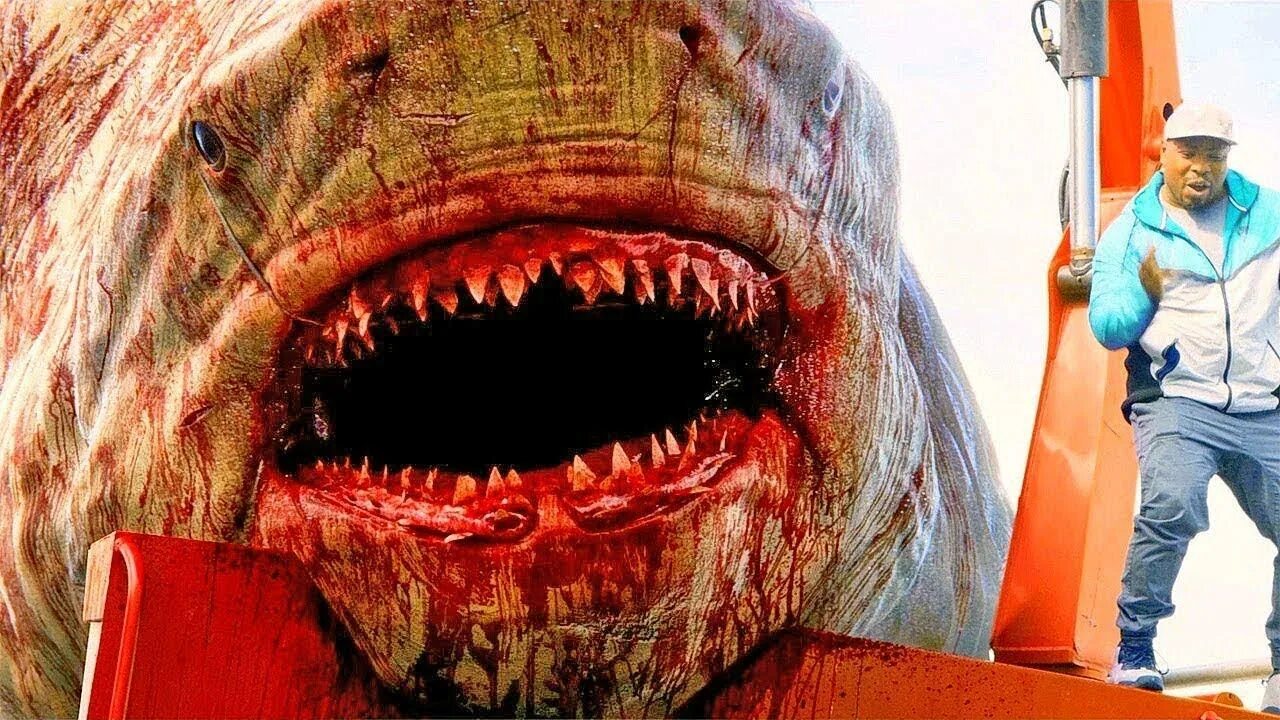 Акулы фото самые страшные 8 Крупнейших АКУЛ, Когда-либо Живших на Земле - смотреть видео онлайн от "Профес