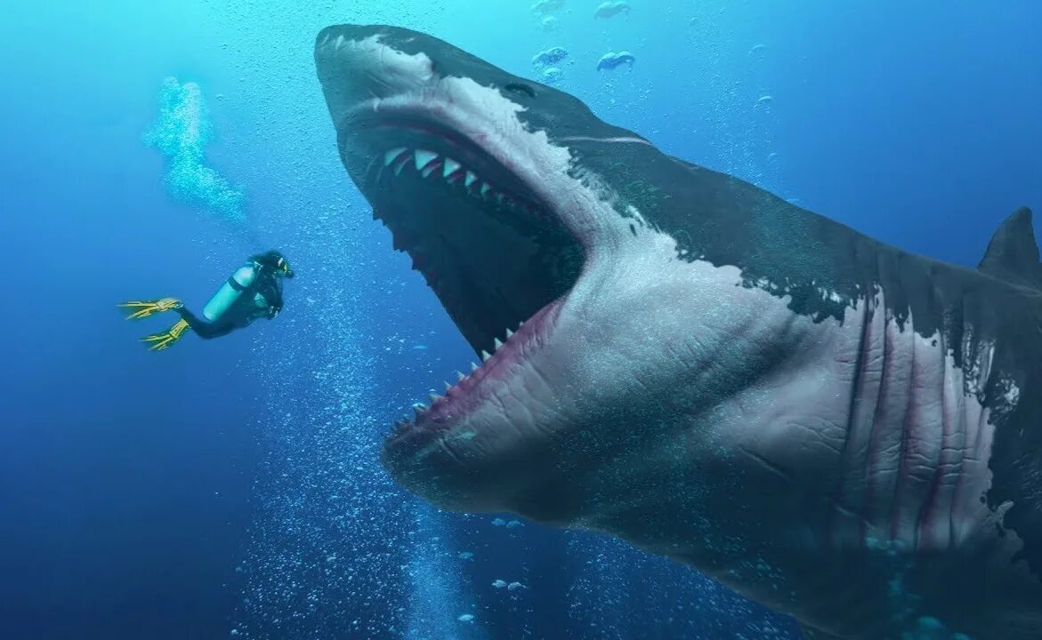 Акулы мира фото Megalodon Shark vs Xenomorph Queen - Battles - Comic Vine