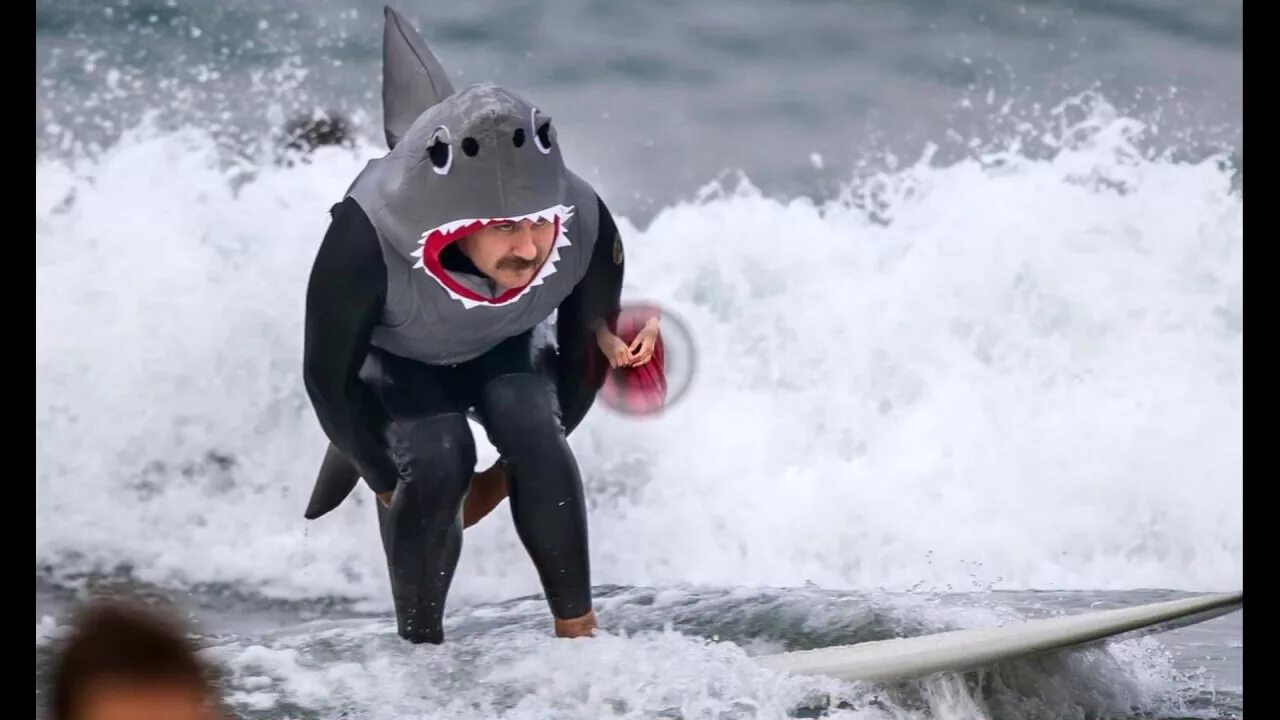 Акулы смешные фото Uniquely LOL Surfing with Halloween Costumes - YouTube