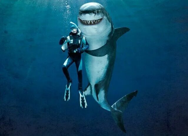 Акулы смешные фото What's for dinner;) Sharks funny, Shark, Animals