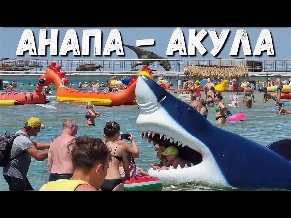 Акулы в анапе фото #АНАПА - АКУЛА В МОРЕ!!! #ВИТЯЗЕВО ЦЕНТРАЛЬНЫЙ ПЛЯЖ И ПАРАЛИЯ! АДСКАЯ ЖАРА! - Yo