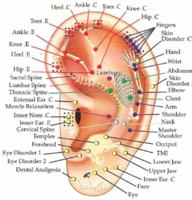 Акупунктурные точки фото There is a lot of talk about the Daith piercing and it's supposed properties for