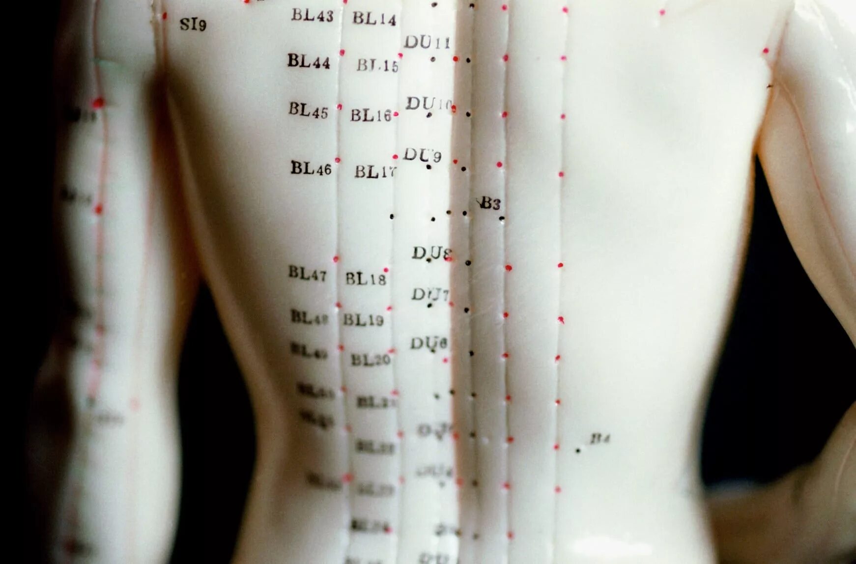 Акупунктурные точки фото How Does Acupuncture Work? Acupuncture Brisbane