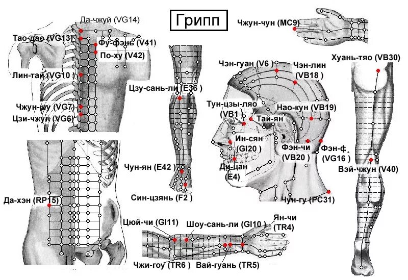Акупунктурные точки фото и описание Грипп -Заболевания инфекционно-аллергические- Электропунктура прибором Эледиа