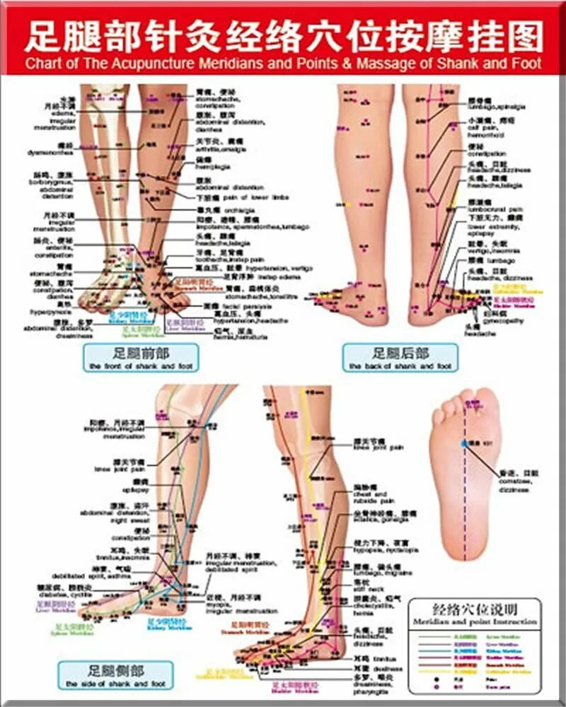 Акупунктурные точки на ногах человека схема расположения Pin by Virginia Moo-Penn on 中 醫 學 Acupuncture, Meridians, Acupressure