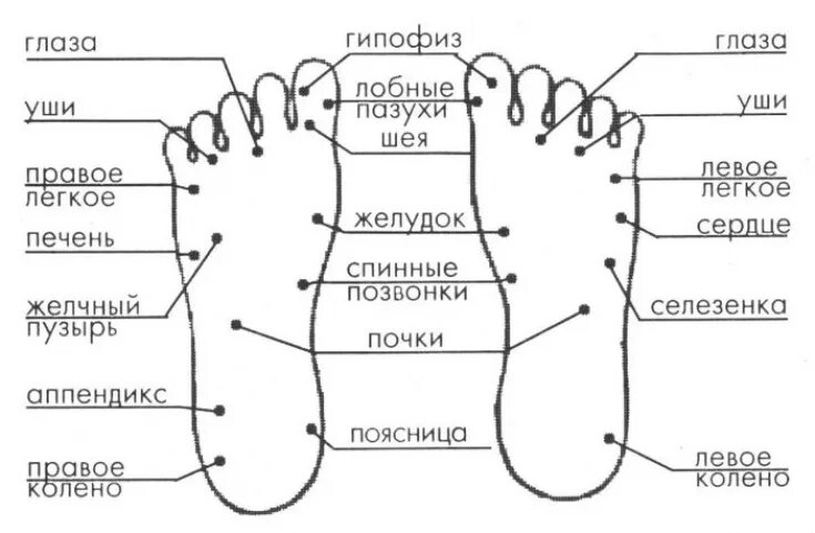 Акупунктурные точки на ногах человека схема расположения Massage after a year - to do or not - Estet-Portal