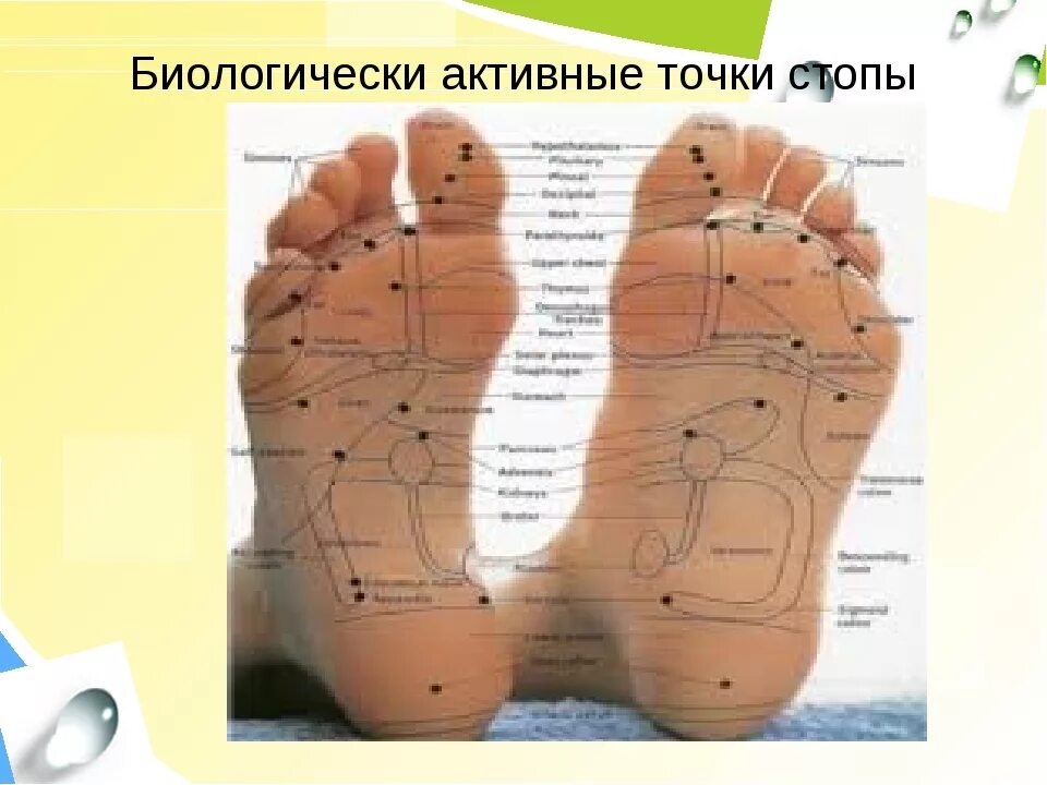 Акупунктурные точки на стопе человека схема расположения Массаж ступней, Падабхьянга, массаж ступней ног