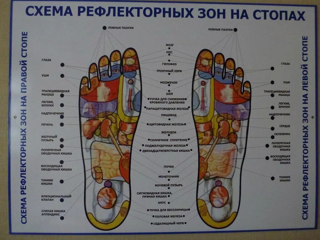 Акупунктурные точки на стопе человека схема расположения Стопы и органы схема