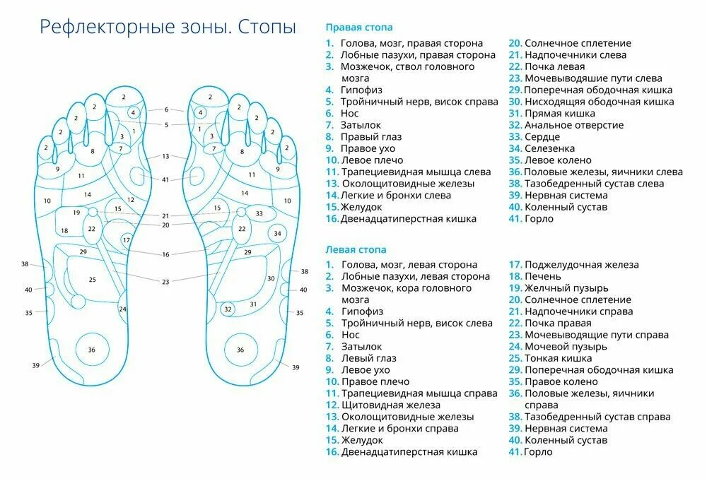 Акупунктурные точки на стопе человека схема расположения Гвозди Садху. Польза для здоровья или компенсация комплекса вины и жертвы?" - Ян