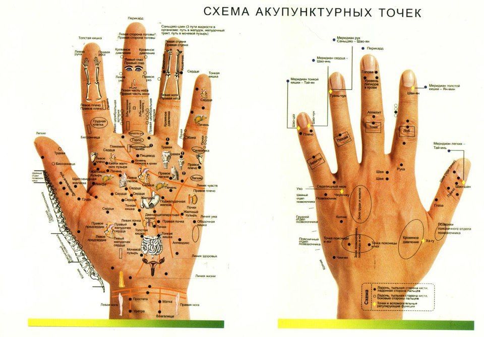 Акупунктурные точки на теле человека фото Акулайф (Tiens-life) схема точек. - купить с доставкой по выгодным ценам в интер