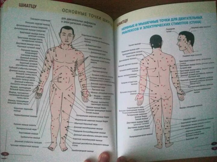 Акупунктурные точки на теле человека фото Книга: "Акупрессура. Иллюстрированный атлас". Купить книгу, читать рецензии Colo