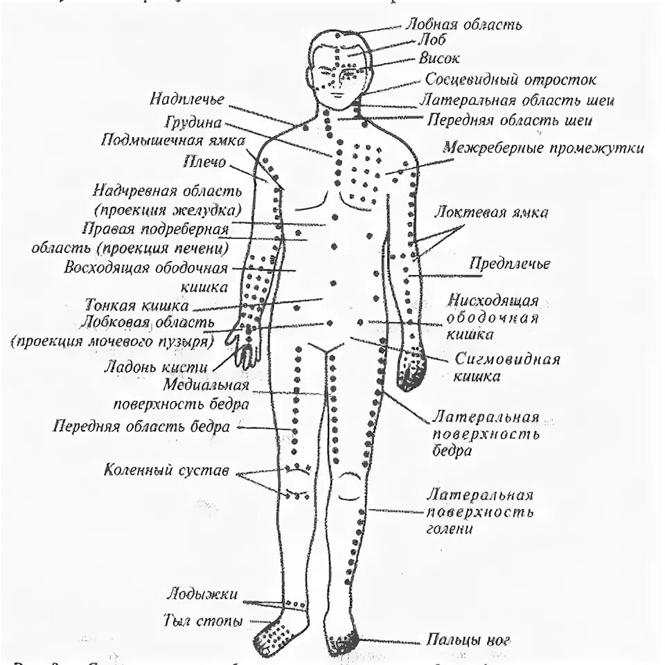 Акупунктурные точки на теле человека фото ШИАЦУ (ШИАТСУ) Массаж.ру Массаж, Рефлексология, Биологически активные точки